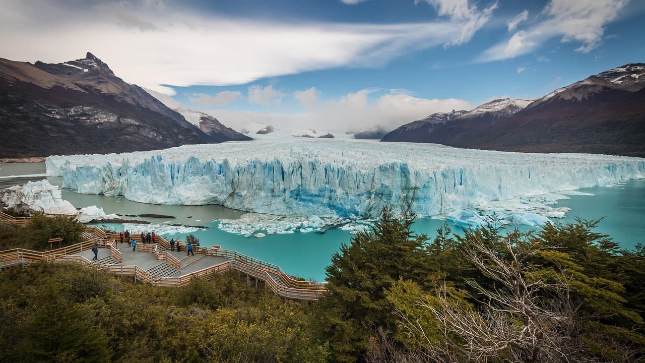 Calafate